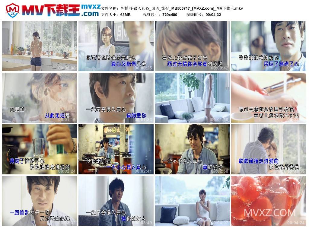 陈杉雨-误入真心_国语_流行_MB505717